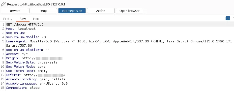 Request to /debug